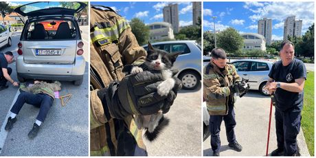 Vatrogasci spasili mačića