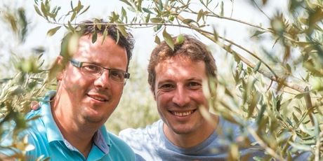 Imanje Chiavalon u Vodnjanu - braća Tedi i Sandi Chiavalon