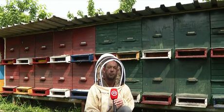 Pomor pčela zbog tretiranja komaraca - 6