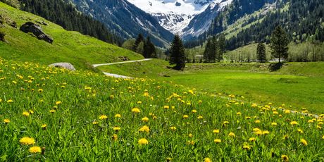 Austrija