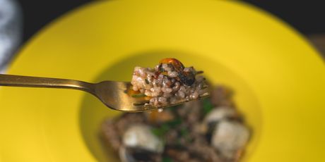 Portugalski rižoto