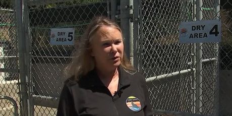 Lauren Palmer, veterinarka