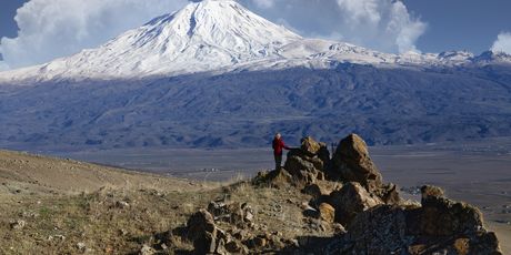 Ararat