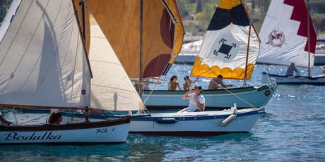 Rovinjska regata - 5
