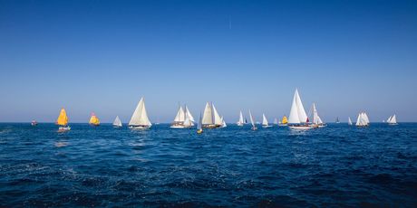Rovinjska regata - 6