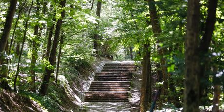 Dotrščina