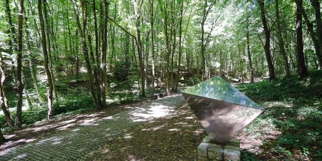 Dotrščina