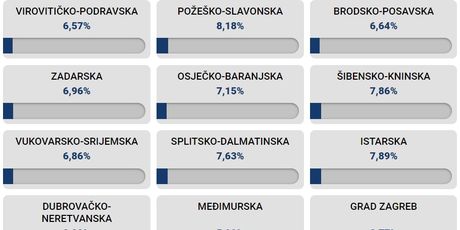 Podaci o izlaznosti na EU izbore po županijama do 11:30