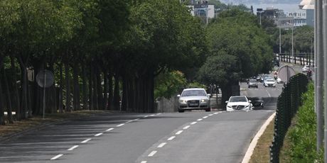 Navijačka zastava na Dalmatia Toweru