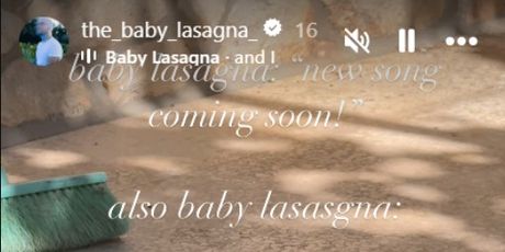Baby Lasagna - 2