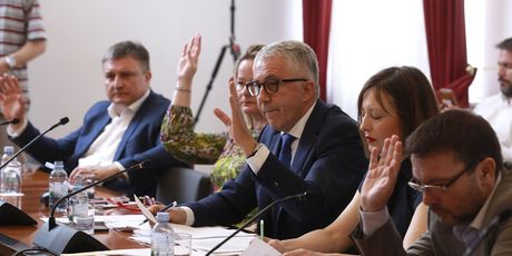 HDZ-ovci digli ruku za Milorada Pupovca kao predsjednika Odbora za ljudska prava i nacionalne manjine - 1