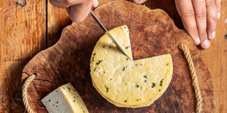 Predah uz vrhunsku enološku i gastronomsku ponudu