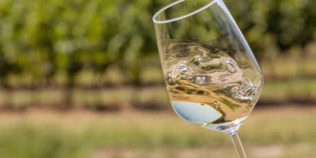 Zlatna Slavonija nudi vrhunska vina iz tri vinogorja