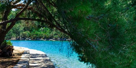 Mljet - 4