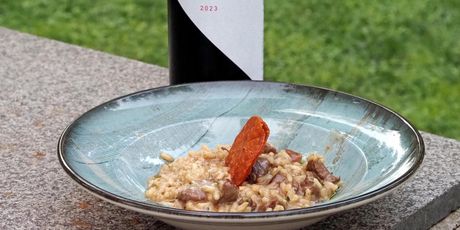 Vino uz žlicu - 6