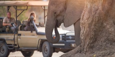 Mana Pools - 1