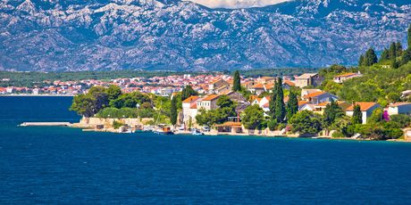 Ošljak - 2