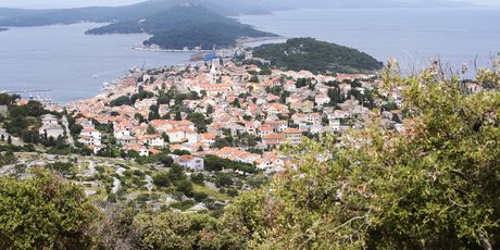 Lošinjski ljekoviti zrak, aerosol i bioraznolikost uz više od 1200 vrsta biljaka otok Lošinj čine posebnim mjestom za odmor.