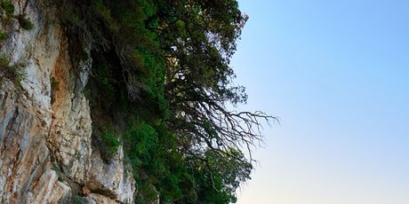 Sablićevo - 2