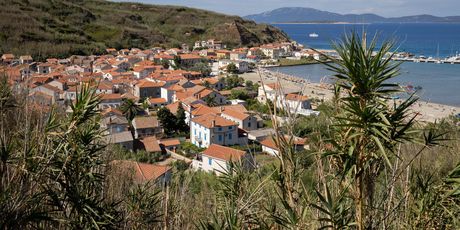 Susak - 1