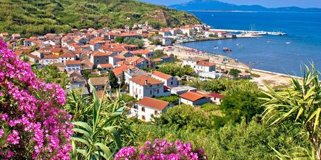 Susak - 1