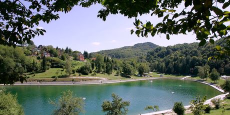 Orahovica
