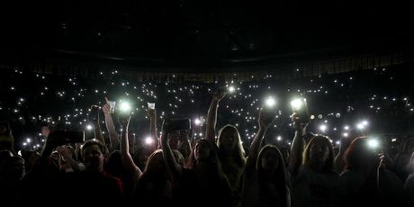 Crvena jabuka u Zadru - 2