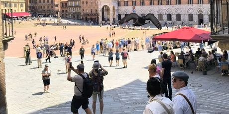Siena