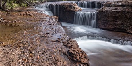 Cape York - 4
