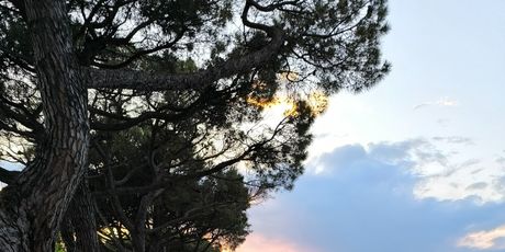 Peschiera del Garda