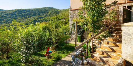 Woodland Retreat - 24