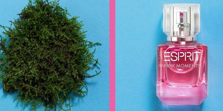 ESPRIT Pink Moments