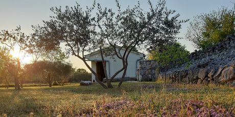 Robinzonska kuća Tubile na Krku, Airbnb - 7