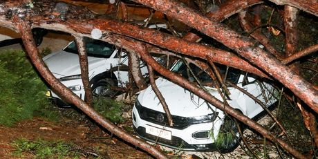 Posljedice nevremena u Rovinju - 6