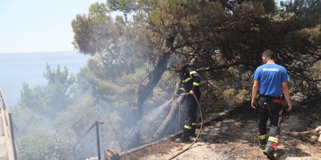 Posljedice golemog požara u Dalmaciji - 1