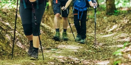 Highlander Medvednica - 7