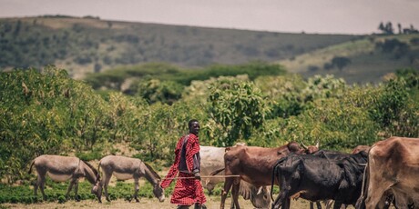 Tanzanija Martine Strahije - 23