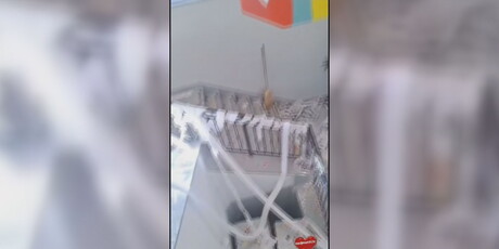 Maturanti demolirali srednju školu - 3