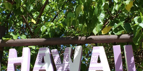 Kviz općeg znanja - 12