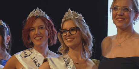 Ljepota majčistva
