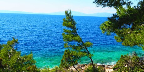 Mljet - 14