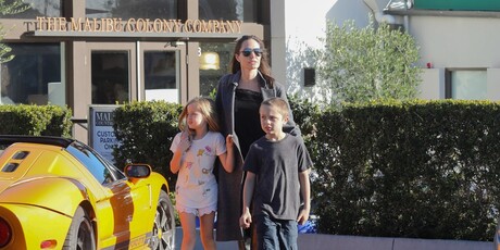 Jolie-Pitt - 10