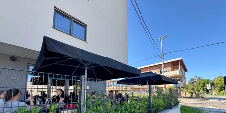 Basilico - 4