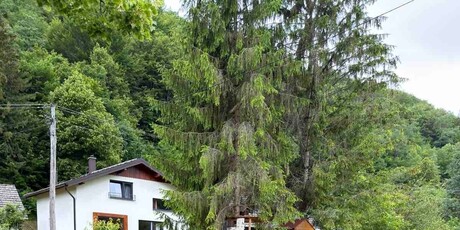 Kuća za odmor Cinija - 3