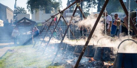 Fišijada na Dunav Festu - 2