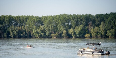 Fišijada na Dunav Festu - 5