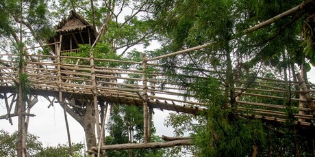Mawlynnong - 18