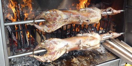 Festival janjetine