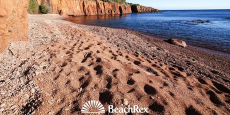 BeachRex - 2