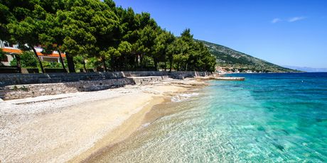 Plaža čempresa, Bol